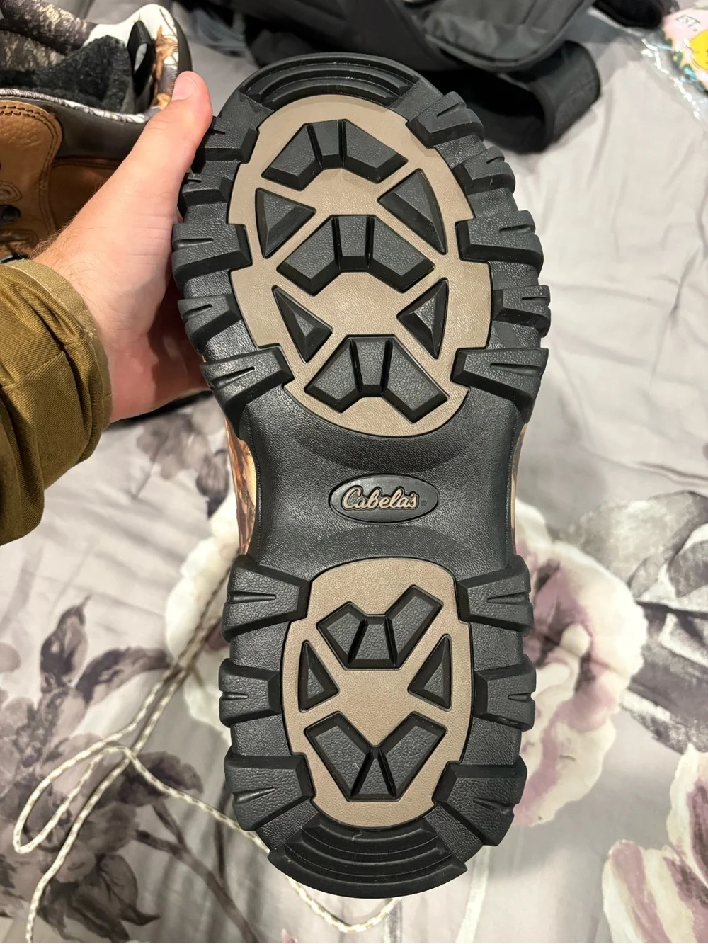 Cabelas cabela’s predator